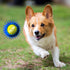 Nerf Dog 2.5in Squeak Armor Tennis Ball Dog Toys 3-Pack -Yellow/Pink and Orange/Blue and Blue/Green