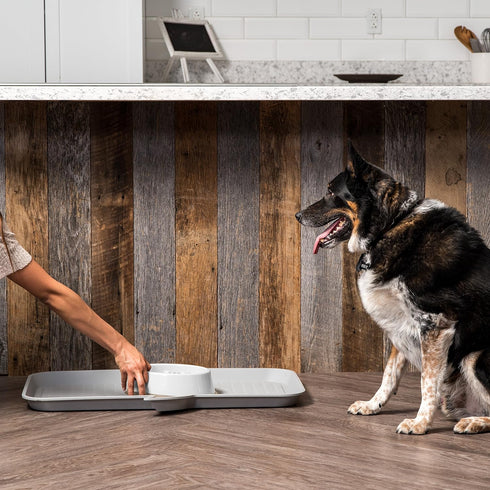 IRIS USA 4-Cup Slow Feeder Dog Bowl, Anti-Choking & Anti-Slip for Healthy Digestion