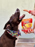 6 oz Jungle Calling Dog Treats, Chicken Wrapped Rawhide Sticks for Dogs, Delicious and Nutritious Training Reward