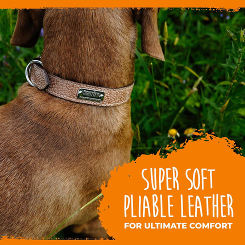 Mighty Paw Dog Lite Collar - Genuine Distressed Real Leather, Modern Designer Look, Lite Brown