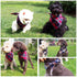 Adjustable Plaid Dog Bandanas, 1PC Soft Washable Cotton Triangle Bib for Small Medium Large Dogs and Cats