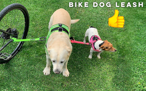 BIKE AND DOG Dog Leash and Harness for Bicycle, Patented with 3 Rings, Includes 2 Special Cable Ties (Fluorescent