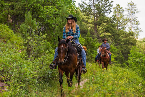 TrailMax 500 Series Saddle Bag - Pommel Pocket for Horse Trail Riding; Western & Endurance Saddles; Cellphone Horn Bag