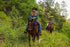 TrailMax 500 Series Saddle Bag - Pommel Pocket for Horse Trail Riding; Western & Endurance Saddles; Cellphone Horn Bag