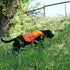 Reflective Dog Vest, Hi-Visibility Fluorescent Blaze Orange Vest to Protect Your Dog from Motorists & Hunting Accidents