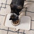 IRIS USA 4 Cups Slow Feeder Dog Bowl - Anti-Choking, Anti-Slip, Easy to Clean, Interactive Puzzle Toy for Healthy