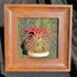 Generic 4" Tillandsia Funckiana Air Plant Kit, Frame (Wall-Mount & Tabletop), Magnetic Holder, Black or Green
