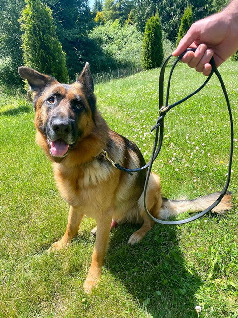 Ravenox Latigo Leather Dog Leash | Burgundy (1/2-inch x 6-feet) | USA Amish Made for Small to Medium Dogs