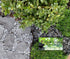 Natural Slate Stone 1 to 3 Inches - Packaged for Aquascaping, Terrariums, Reptile Enclosures, 2lbs Grey
