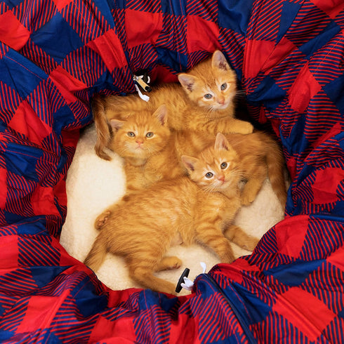 Plaid Tunnel Bed