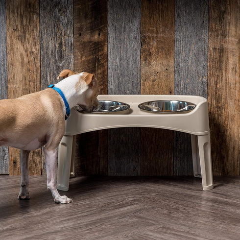 IRIS USA Elevated Dog Bowls, Adjustable Height, 2 Thick 64 oz Stainless Steel Bowls, Spill-Proof, Made in USA Plastic