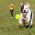 BESTHLS 16 Pack Pet Ball for Dog Small 2inch Tennis Balls for Tiny Small Dogs, Fetching Exercise & Training