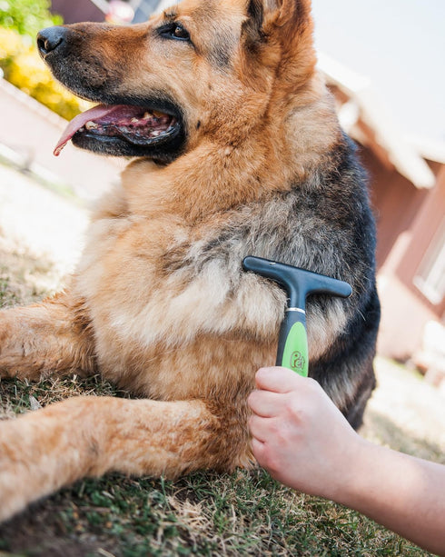 Pet Magasin Professional Grooming Brushes (Pack of 3) - Double Sided Brush, Long Tooth Rake & De-Matting Comb