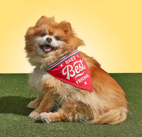 Brass Monkey Dad's Best Friend Dog Bandana; Durable Cotton Pet Bandana; One Size Fits Most; 9” W x 6” H; 30” Tie Ribbon; Cute Dog Accessories with Eye-Catching Design