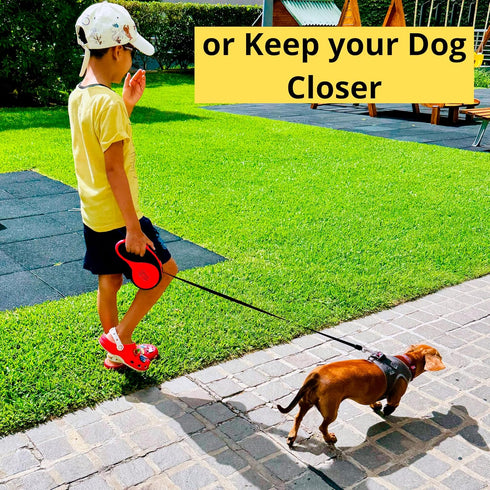 Dog Leash - Retractable Leash for Pets, 16FT Extendable Leash with Removable Poop Bag Dispenser (RED, MEDIUM)