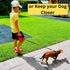 Dog Leash - Retractable Leash for Pets, 16FT Extendable Leash with Removable Poop Bag Dispenser (RED, MEDIUM)
