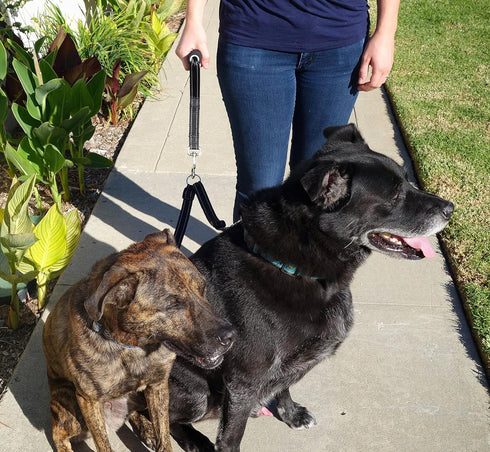 Leashboss Duo - Double Dog Leash for Large Dogs, Adjustable, Reflective, No Tangle, Detachable Padded Handle, Black