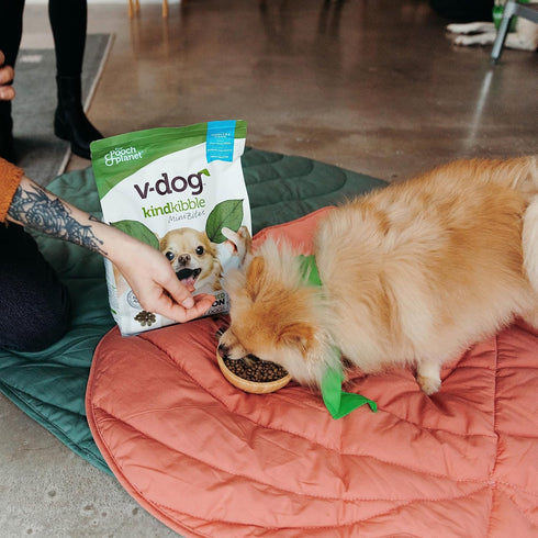 V-dog Vegan Mini Kibble Dry Dog Food, 4.5 LB, Plant-Based Protein for Sensitive Stomach and Skin, All Natural