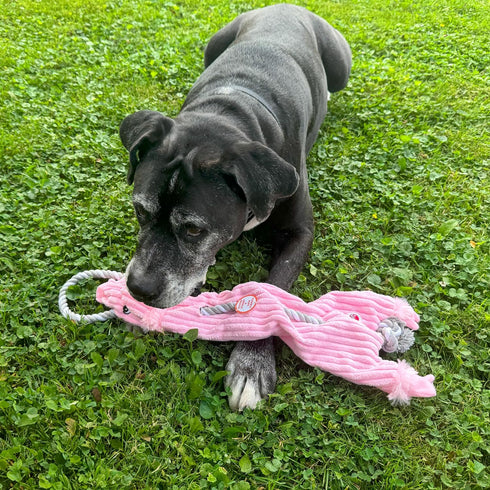 SPOT Skinneeez Barnyard Tug Dog Toy, 23 Inch, Stuffing-Free, Rope Design for Strong Chewers, Squeaker & Crinkle