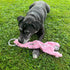 SPOT Skinneeez Barnyard Tug Dog Toy, 23 Inch, Stuffing-Free, Rope Design for Strong Chewers, Squeaker & Crinkle