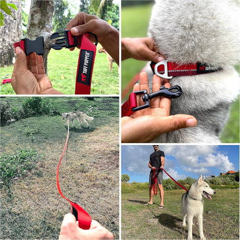 Tuff Pupper Heavy Duty Long Dog Leash, 50 Foot, Buckle Handle, High Visibility Nylon Webbing for Dog Recall Training