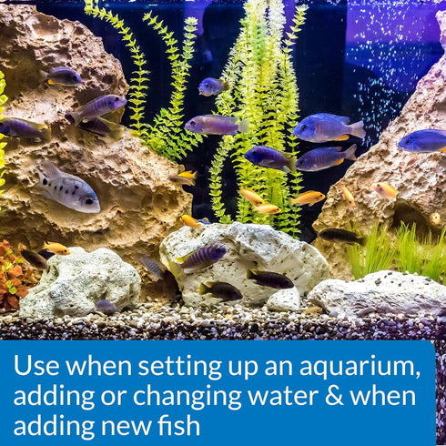4-Ounce (85B) API STRESS COAT Aquarium Water Conditioner Bottle