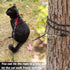 Cat Leash - 15 ft / 30ft Reflective Long Outdoor Leash for Walking Training, Escape Proof for Cats, Small Dogs