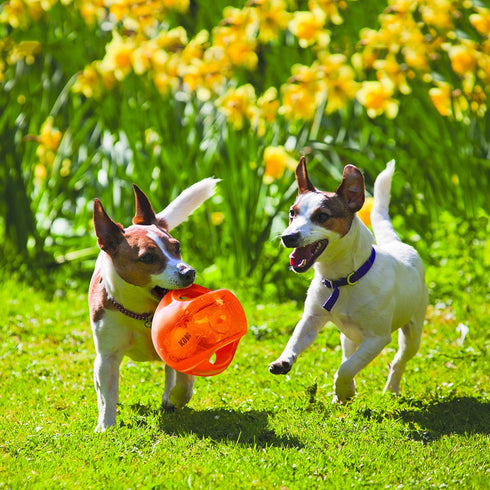 KONG Jumbler Ball - Interactive Dog Toy for Dog & Puppy Playtime - Fetch Toy with Tennis Ball - Dog Supplies for Engaging Play - for Large/XL Dogs