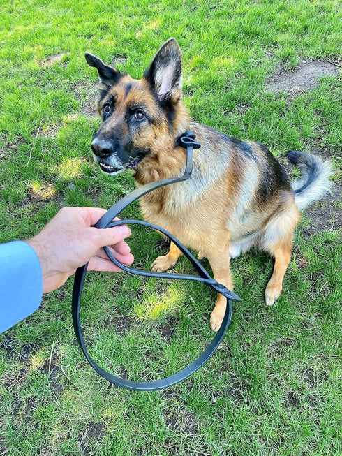 Ravenox Leather Slip Lead Dog Leash, Soft, Adjustable Handmade Latigo Pet Lead, Black, No Hardware Leash Collar