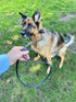 Ravenox Leather Slip Lead Dog Leash, Soft, Adjustable Handmade Latigo Pet Lead, Black, No Hardware Leash Collar