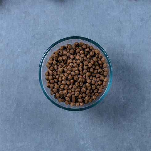 Evolve Classic Cat Food, Deboned Chicken and Brown Rice Recipe, 3lb.
