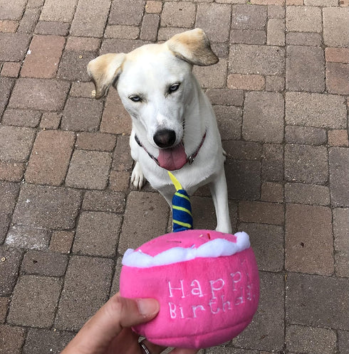 Plush Birthday Dog Toys - Pink Birthday Cake Toy with Squeaker for Small, Medium, and Large Dogs