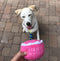 Plush Birthday Dog Toys - Pink Birthday Cake Toy with Squeaker for Small, Medium, and Large Dogs