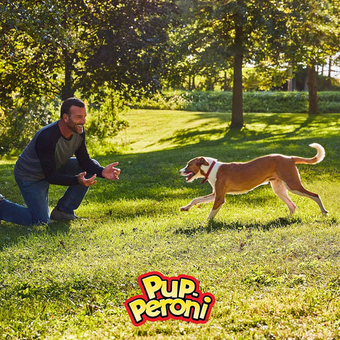 Pup-Peroni Dog Treats, Prime Rib Flavor, 38 Ounce, Made with Real Steak