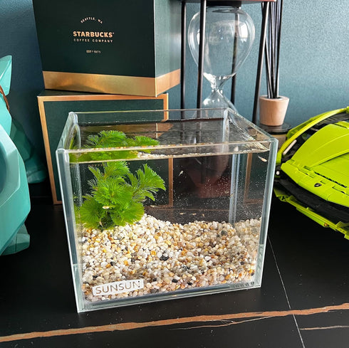 Small Nano Tall Rimless Tank, Glass Betta Fish Tank, Mini Aquarium (0.7 Gallon, 5.9X4.3x5.1 inch)