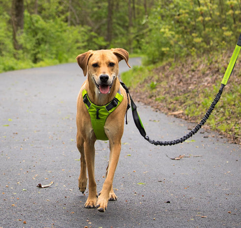 Tuff Mutt Dog Harness for Medium & Large Breeds, Easy On Easy Off with No Pull Front Chest Clip