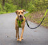 Tuff Mutt Dog Harness for Medium & Large Breeds, Easy On Easy Off with No Pull Front Chest Clip