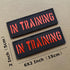 2 Pack Black Red Reflective Tactical Dog Patches Service Dog, in Training, DO NOT PET Tags with Hook and Loop Patches