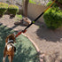 Jalousie Dog Bungee Toy, 20.35 ft Reinforced Interactive Toy with Two Replacement Rope Toys