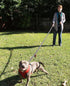 Dog Leash 6ft Long, Traffic Padded Two Handle, Heavy Duty Reflective Lead for Large or Medium Dogs