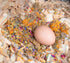 (2 (2 Pampered Chicken Mama Best Eggs Ever! Nesting Herbs for Chickens Pounds Total) for Chicken Nesting Boxes Calcium