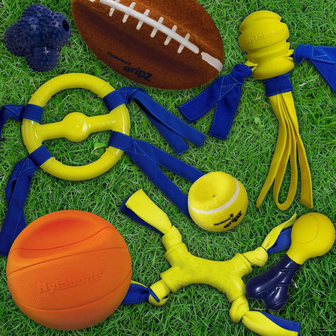 Nylabone Power Play Shake-a-Toss Interactive Fetch Toy for Dogs, Small (1 Count)