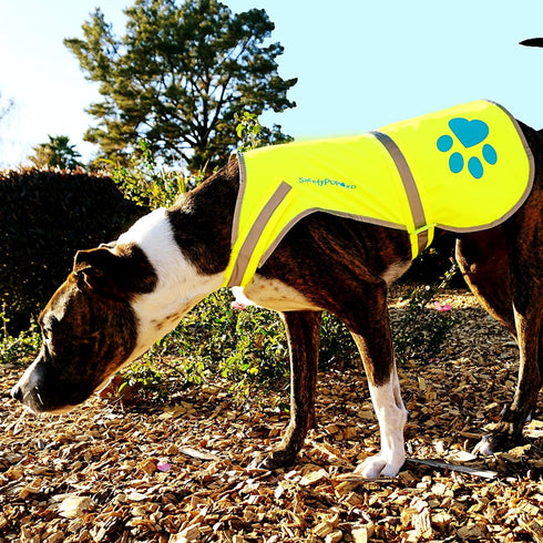 Urban Dog Reflective Vest, Fluorescent Hi-Visibility Dog Jacket in Multi-Colors, Safeguards Your PUP Outdoors On and