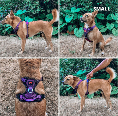 Tuff Pupper No Pull Easy Walk Dog Harness | Heavy Duty Pet Vest with Front & Back Leash Clips, Purple, Small