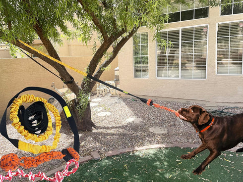 Jalousie Dog Bungee Toy, 20.35 ft Reinforced Interactive Toy with Two Replacement Rope Toys