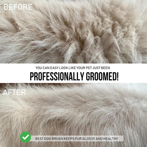 Slicker Brush for Small Dogs and Poodles, Cat Slicker Brush for Long Haired Cats, Bixy Pixy Mini