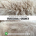 Slicker Brush for Small Dogs and Poodles, Cat Slicker Brush for Long Haired Cats, Bixy Pixy Mini