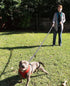 Dog Leash 6ft Long, Heavy Duty Traffic Padded Two Handle Lead for Control Safety Training, Black