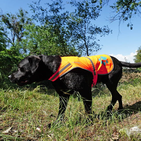 Reflective Dog Vest, Hi-Visibility Fluorescent Blaze Orange Vest to Protect Your Dog from Motorists & Hunting Accidents