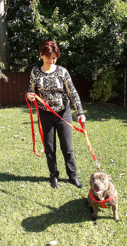 Dog Leash 6ft Long - Heavy Duty Reflective Double Handles Lead for Control Safety Training - Padded Two Handle Leashes